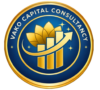 vako capital consultancy