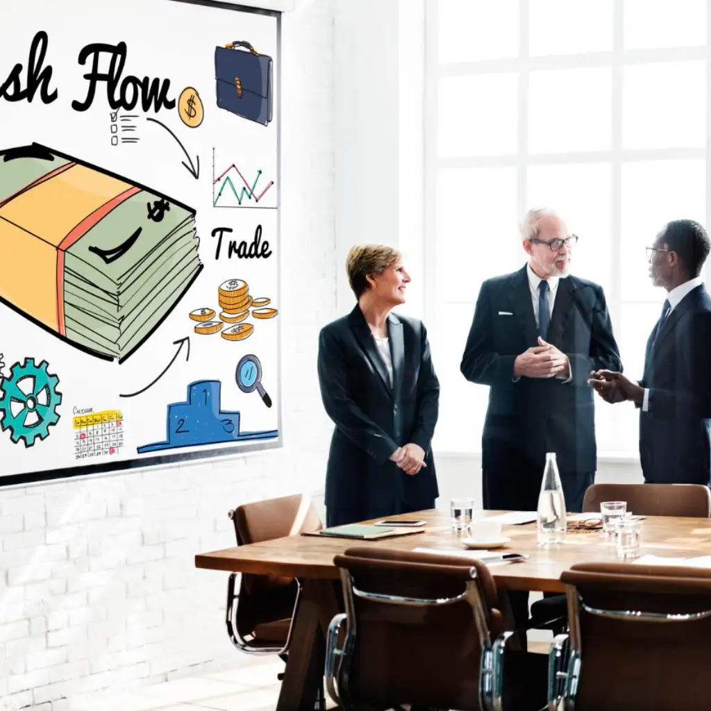 vako capital consultancy