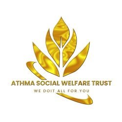 vako capital consultancy